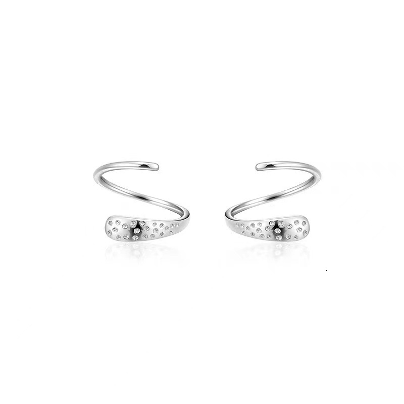spring for women 2024, new niche high-end light earrings, summer earrings