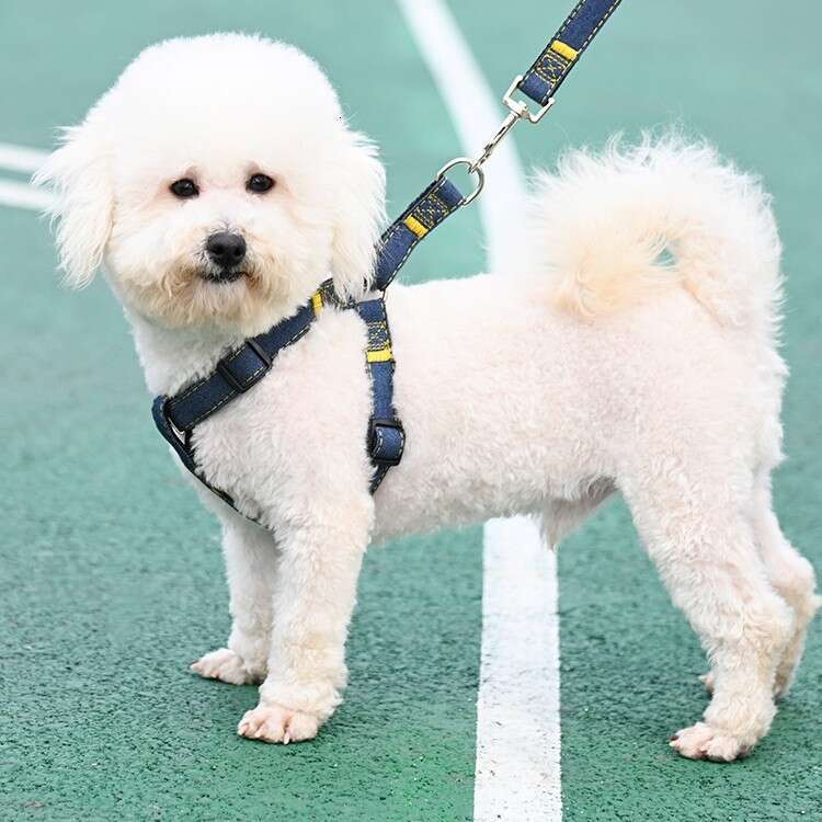 Pet large, medium, and small chains, teddy gold fur dog leash, pet supplies