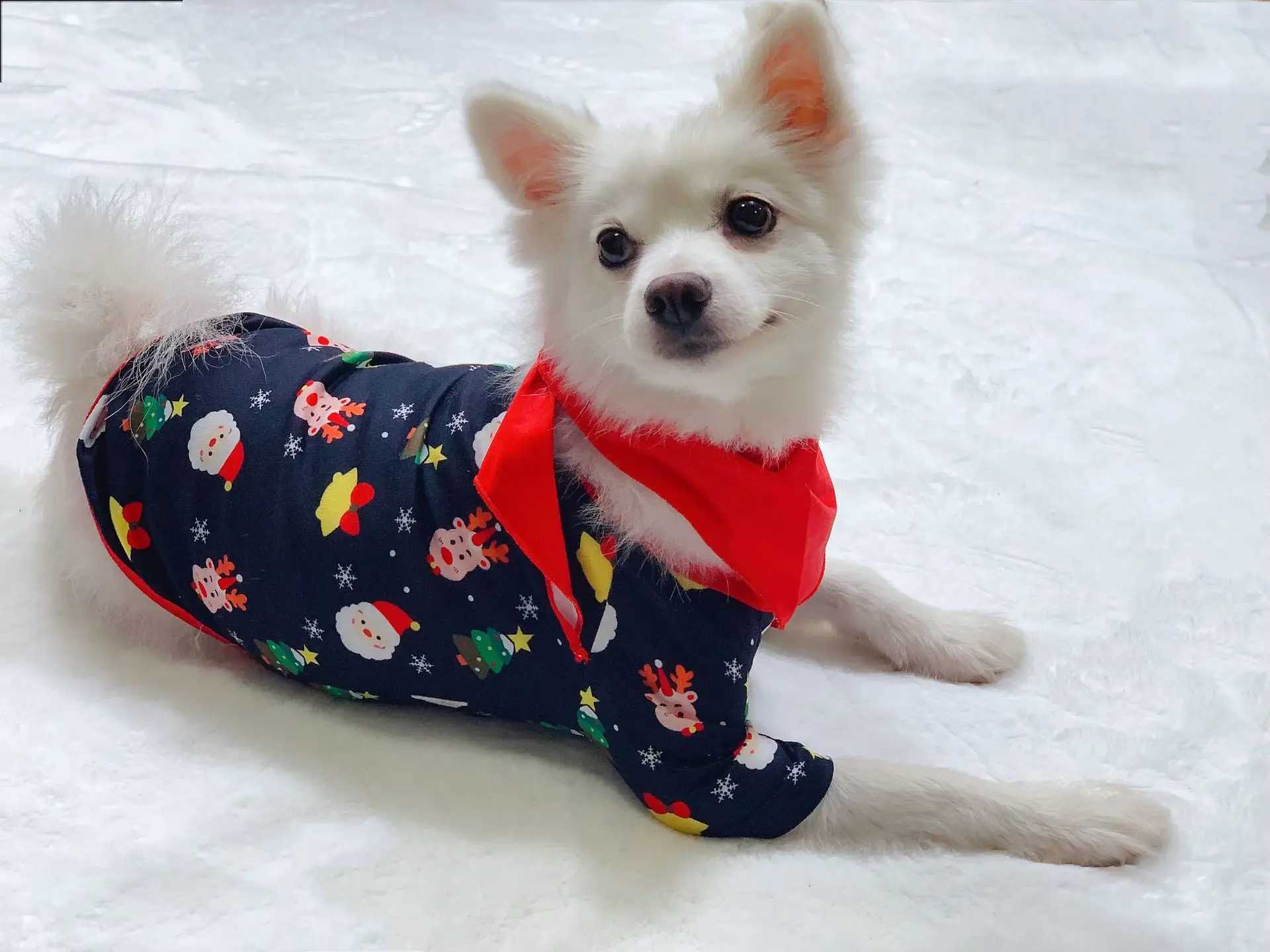 2024 New Christmas Family Pajama Cartoon Full Print Cute Soft Pajama Parent Child Matching Set 2-piece Clothing W241008