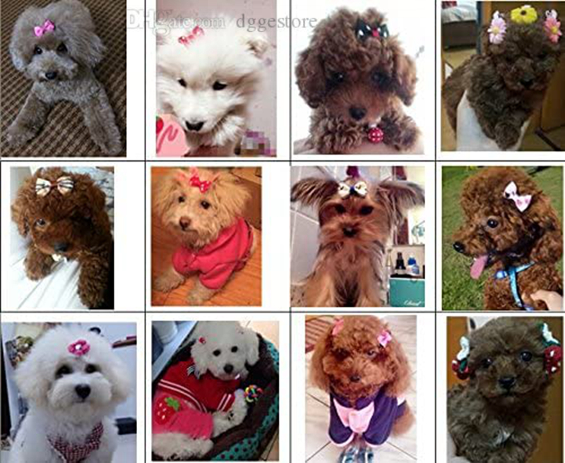 Designer Pet Bow Hairpin Dog Collar Bowknot Handmade Fashion Hair Ornaments for Cat Kitten Puppy Girl Sherina Poodle 11 Colors Y166