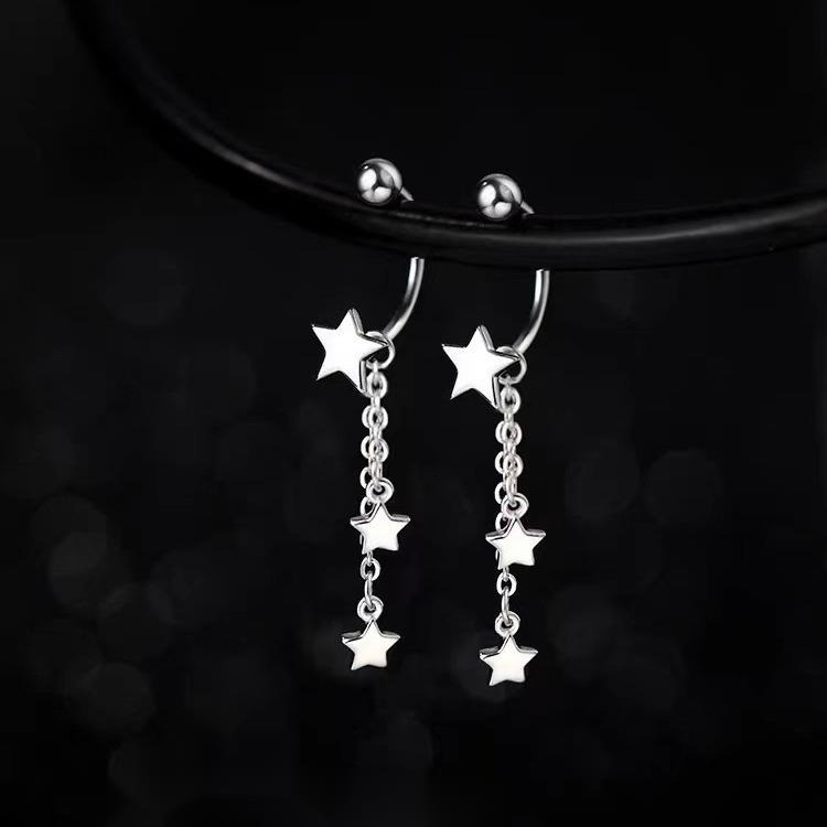 2024 New Women's Light Niche High End Earrings