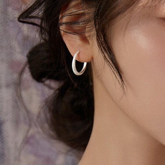 pure sier needle with starry sky women's 2024 new trendy earrings, earrings