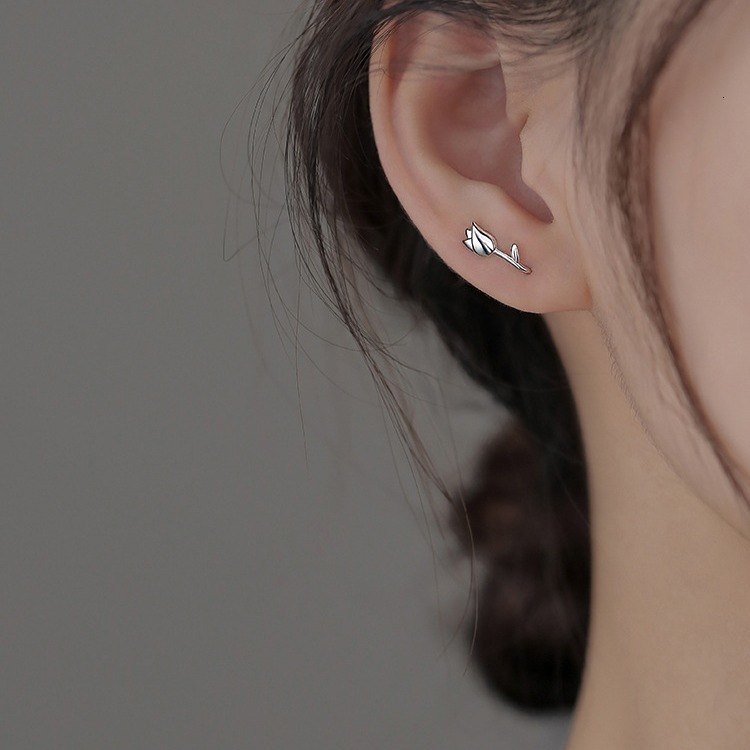 Women 2024 New Trendy Earrings, Small and Popular Earrings
