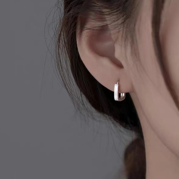 Pure sier needle niche light earrings, 2024 new women's earrings