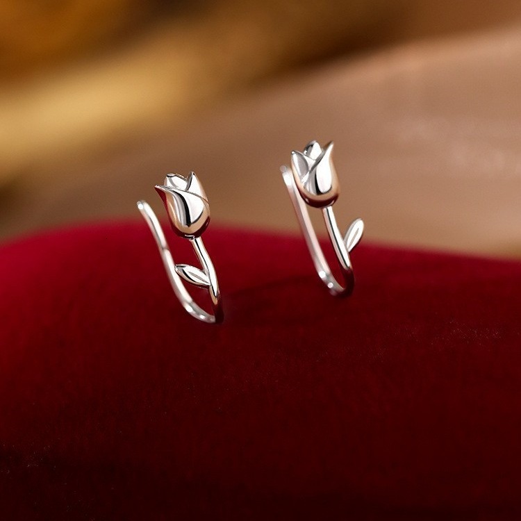 Women 2024 New Trendy Earrings, Small and Popular Earrings