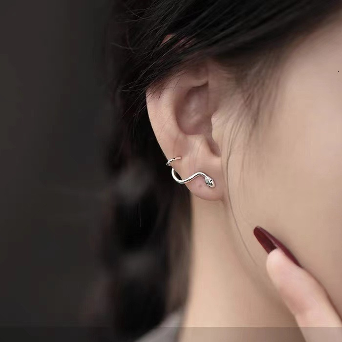 Pure sier needle snake shaped earrings for women, earrings, internet celebrity temperament, niche design, style new item