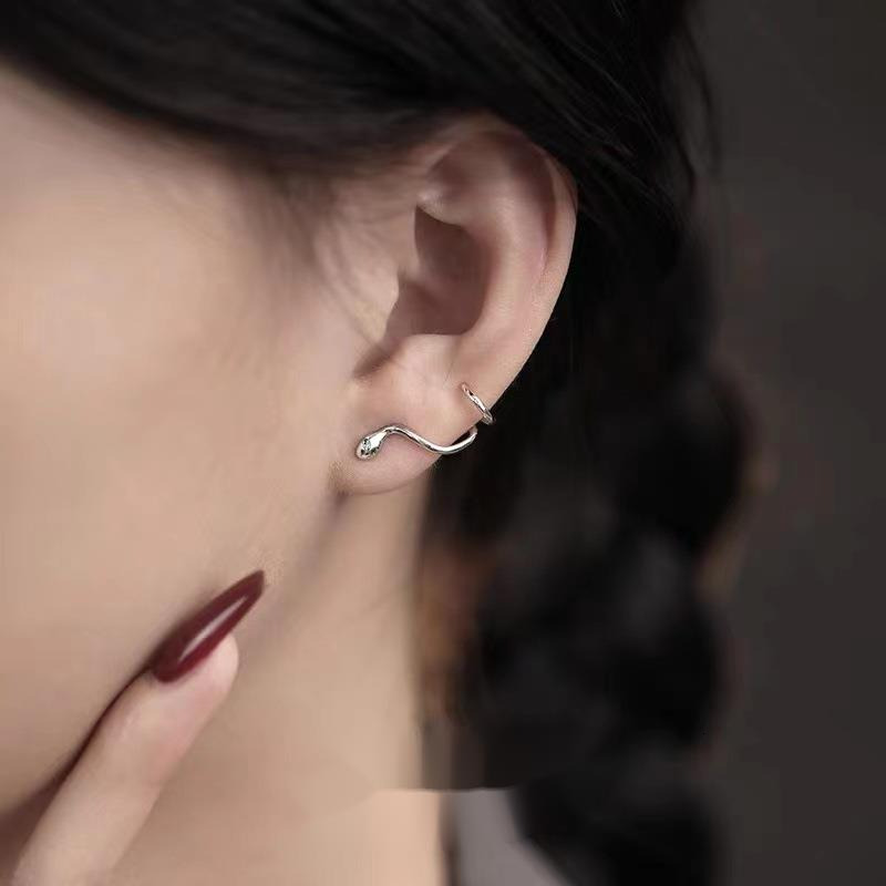 Pure sier needle snake shaped earrings for women, earrings, internet celebrity temperament, niche design, style new item