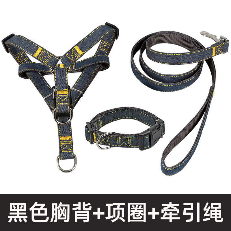 Pet large, medium, and small chains, teddy gold fur dog leash, pet supplies