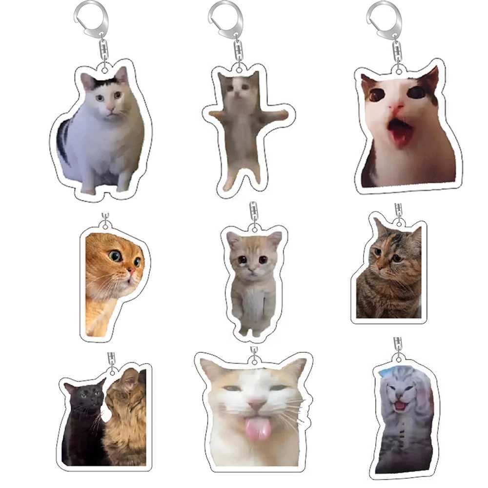 Interesting Cat Meme Series Keychain Student Gift Bag Hanging Rope Womens Bag Pendant Keychain Cute Item Cover Gift for Best FriendsXJ250409