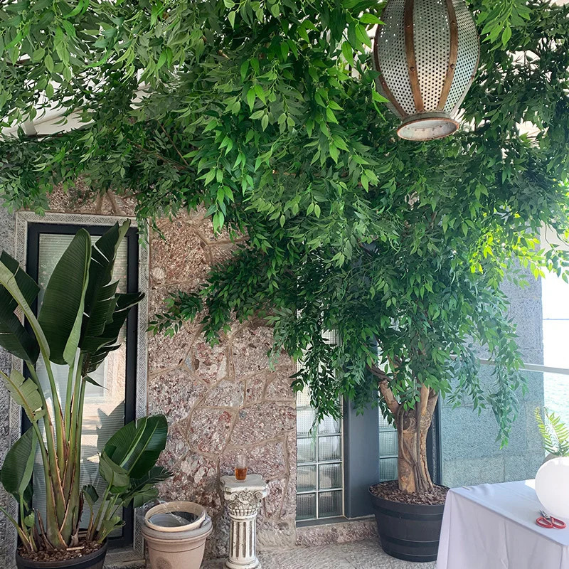 10 pieces of artificial plants from Ruscus Italy green stems spring grouting lining wedding arch bouquet home decoration leaves 240930