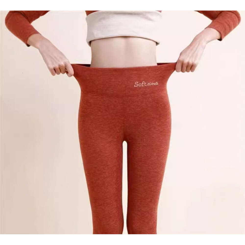 Autumn and winter thick shark pants with fleece, warm pants, leggings