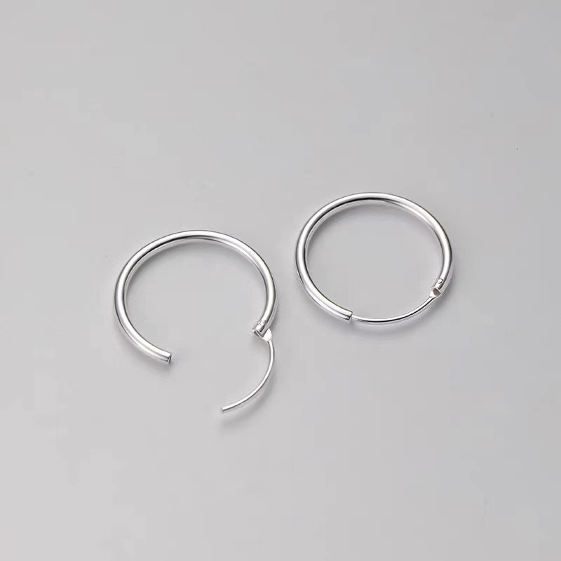 Pure sier needle ring 2024 new style niche high-end light women's earrings