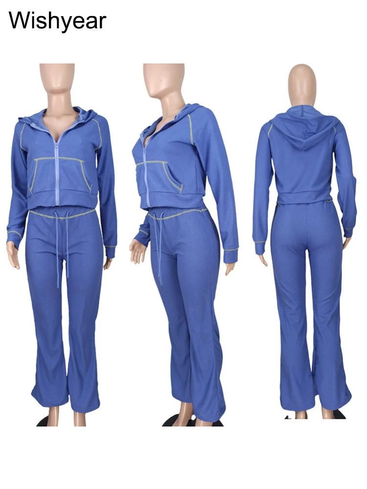 Casual solid purple twopiece set womens long sleeved zipper hooded jacket top and pants matching autumn street track field uniform 241008