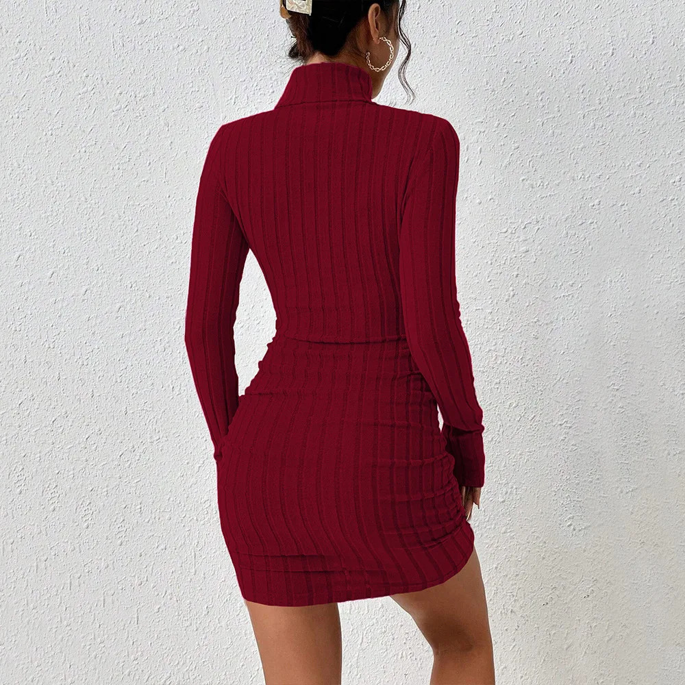 Womens elegant and sexy dress autumnwinter Burgundy simple style turtle neck short fit slim fashion 241007