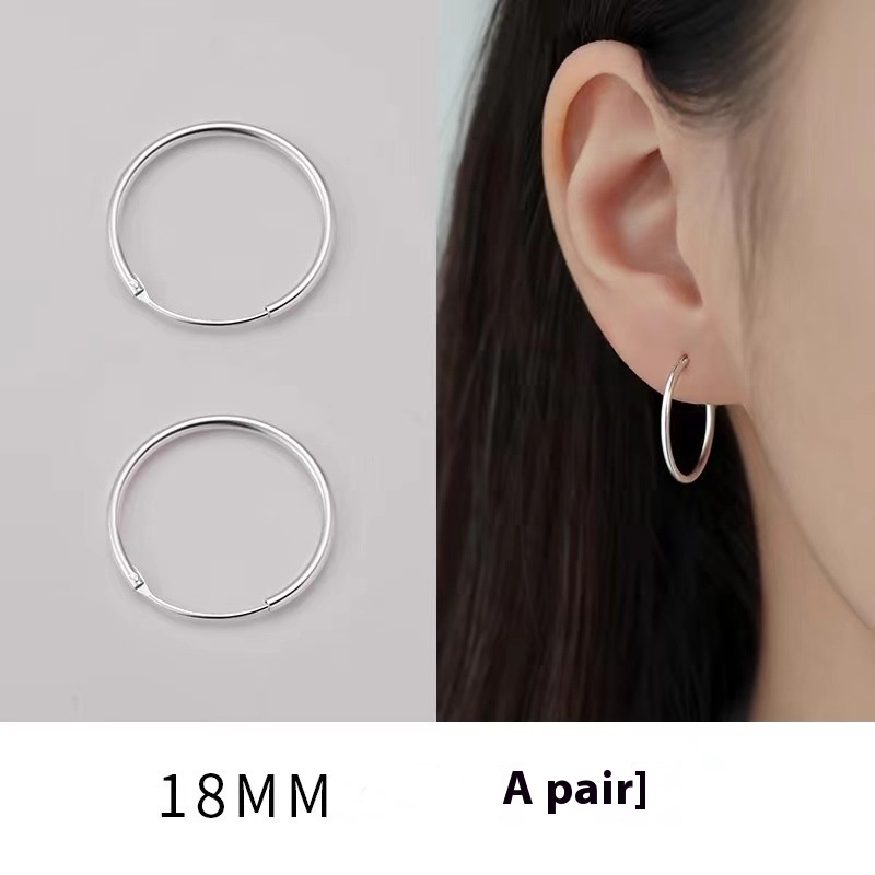 Pure sier needle ring 2024 new style niche high-end light women's earrings