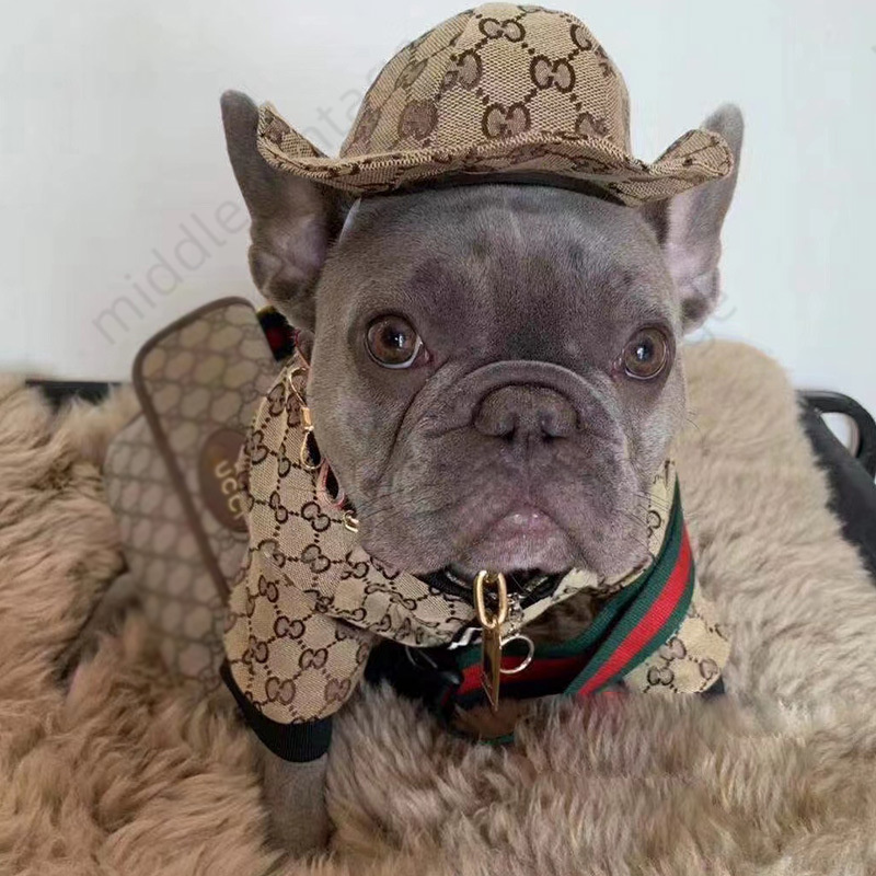 Fashion Brand Dog Clothes, Pet Autumn And Winter Clothes, Buy Clothes And Get A Hat 899