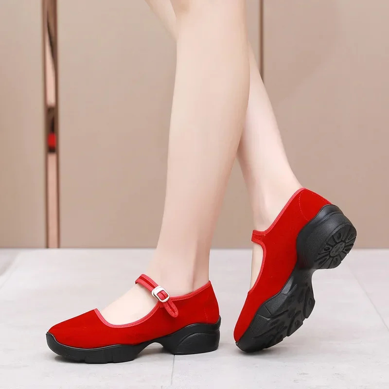 Autumn Womens Shoes Fashion Platform Block Heel Casual Shoes Fitness Walking Dancing Sneakers Velvet Mary Jane Heels 241010
