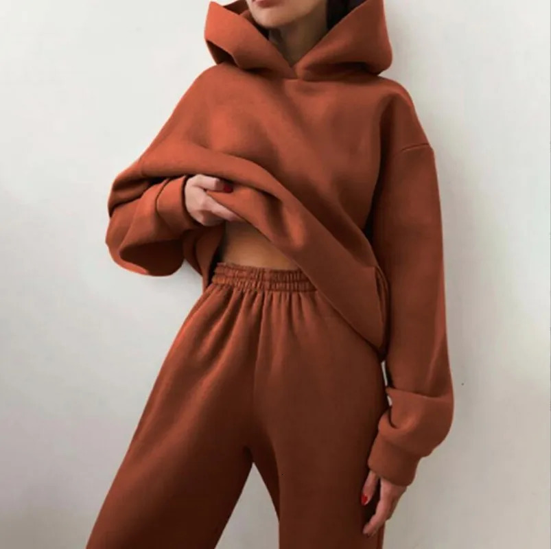 Womens Track Set Autumn Fashion Warm Hoodie Sportswear Two piece Large Solid Casual Zipper Pants 241008