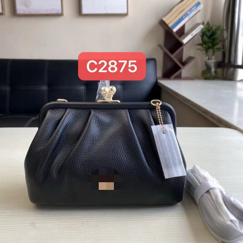 Brand Bags Kisslock Buckle Solid Color Printed Designer Crossbody Bag Chain Strap Small Cloud Bag