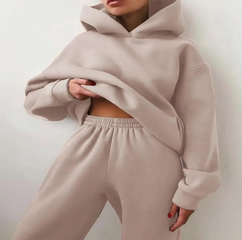 Womens Track Set Autumn Fashion Warm Hoodie Sportswear Two piece Large Solid Casual Zipper Pants 241008