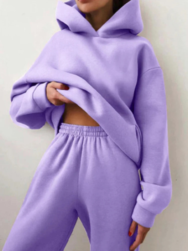 Women Autumn Winter Fleeced Tracksuits Casual Sweatpants and Hoodie Set Two Pieces Hooded Sweatshirt Sport Jogger Outfits 241010
