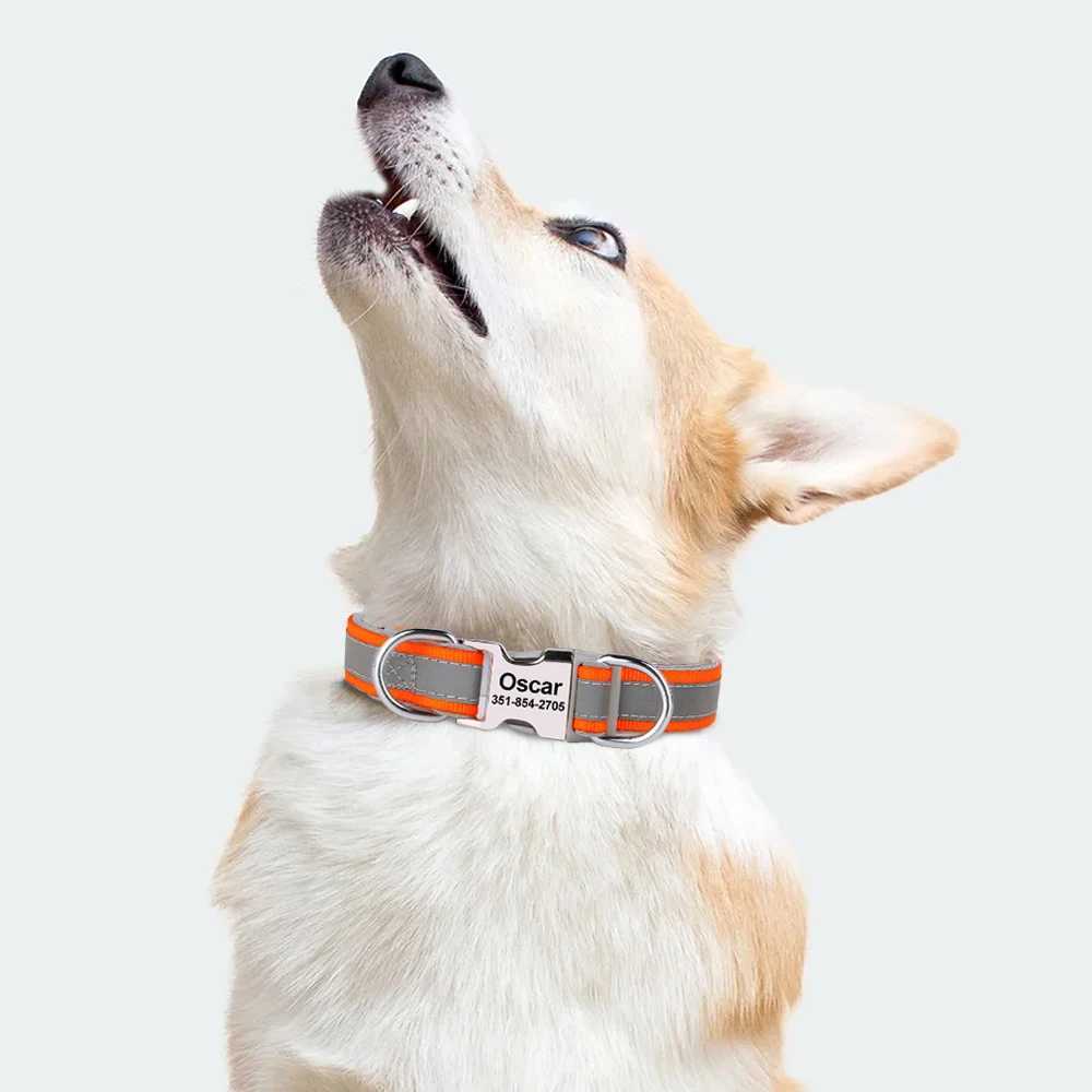 Reflective personalized with engraved ID nylon cushioned dog collar that can be adjusted for small medium and large dogs Y250325