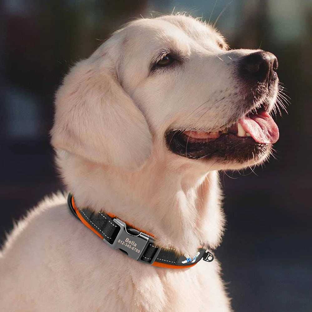 Reflective personalized with engraved ID nylon cushioned dog collar that can be adjusted for small medium and large dogs Y250325