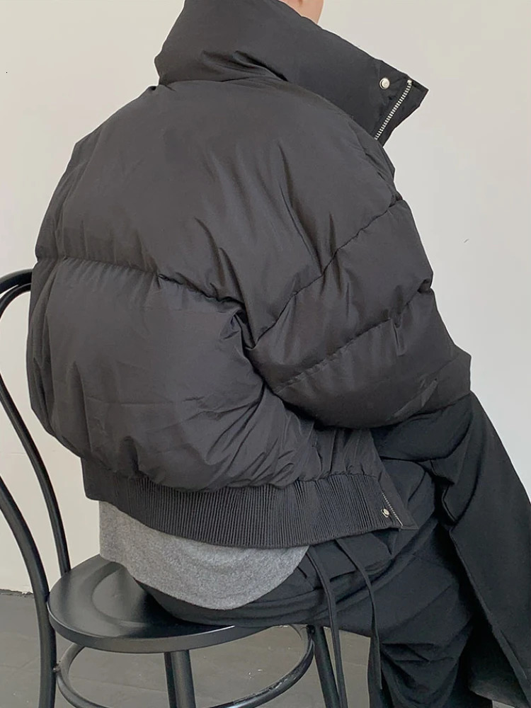 Short Parkas mens retro chic street fashion minimalism Korean autumn basic unisex jacket rack collar Gothic 241007