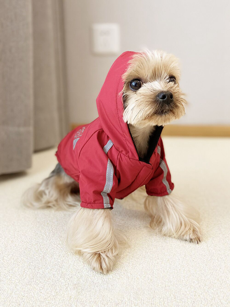 Soft and Warm Dogs Hoodie Designer Dog Apparel The Dog Face Coats Pet Winter Jacket Cold Weather Clothes for Yorkshire Poodle Shiba Inu French Bulldog