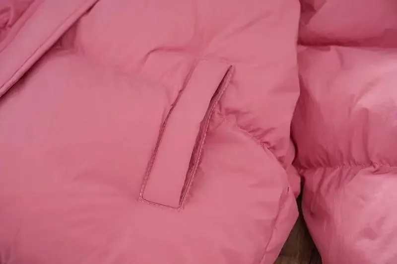 Down Coat Girls Winter Clothing 2024 New Childrens Thick Cotton Lined Winter Clothing Girls Hooded Cotton Lined Jacket H241010