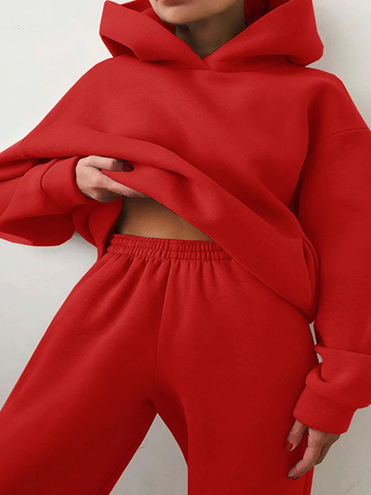 Women Autumn Winter Fleeced Tracksuits Casual Sweatpants and Hoodie Set Two Pieces Hooded Sweatshirt Sport Jogger Outfits 241010