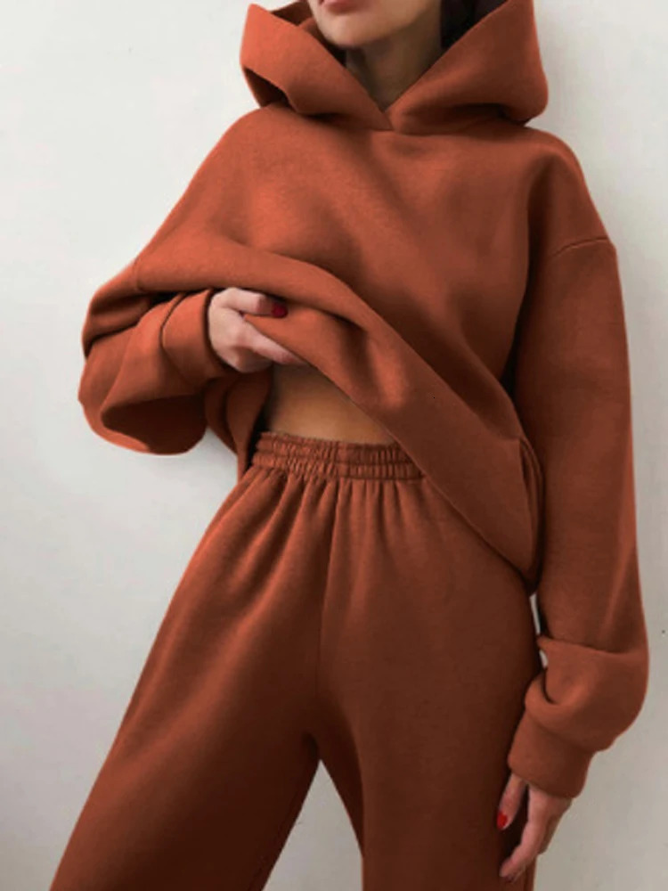 Women Autumn Winter Fleeced Tracksuits Casual Sweatpants and Hoodie Set Two Pieces Hooded Sweatshirt Sport Jogger Outfits 241010