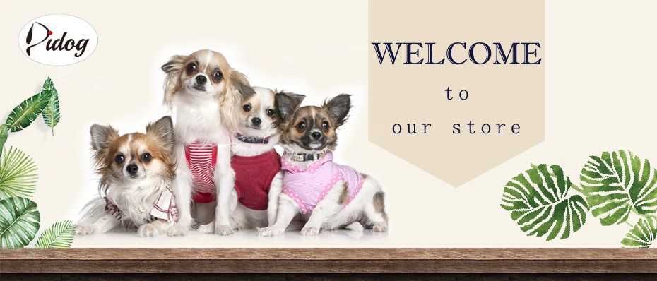 Reflective personalized with engraved ID nylon cushioned dog collar that can be adjusted for small medium and large dogs Y250325
