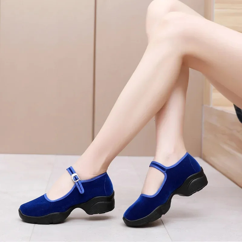 Autumn Womens Shoes Fashion Platform Block Heel Casual Shoes Fitness Walking Dancing Sneakers Velvet Mary Jane Heels 241010