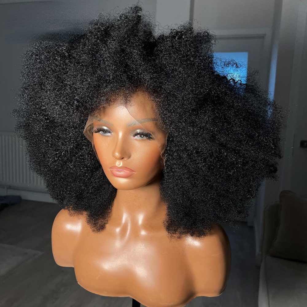 Free shipping 200density Kinky Curly 13X4 Lace Closure Silation Human Hair Wigs 8-20 Inch Brazilian Remy Fluffy Afro Wig for Black Women