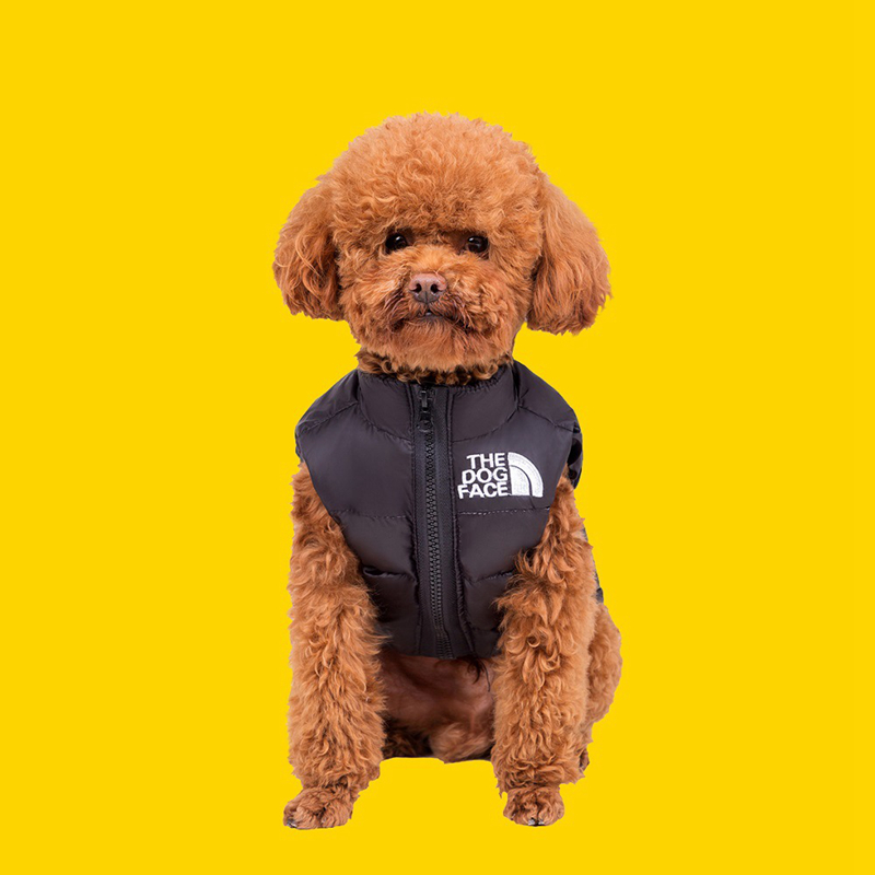 Duck Down Dog Winter Jacket, Designer Dog Apparel, Warm Zip Up Wind Breaker Water Resistant Small Dog Sweater Coat Dog Clothes for Small Dogs Boy or M