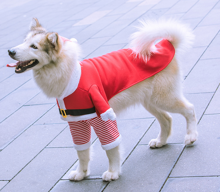 Christmas Dog Costume Outfit, Xmas Puppy Santa Claus Clothes Suits Hat Pet Dogs Cats Party New Year Funny Cosplay for Small Medium and Big Pets