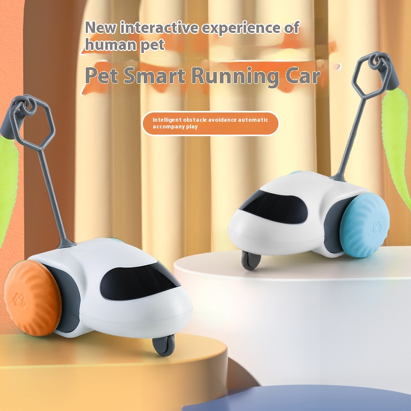 Intelligent Self-Playing Runaway Car for Indoor Feline Entertainment