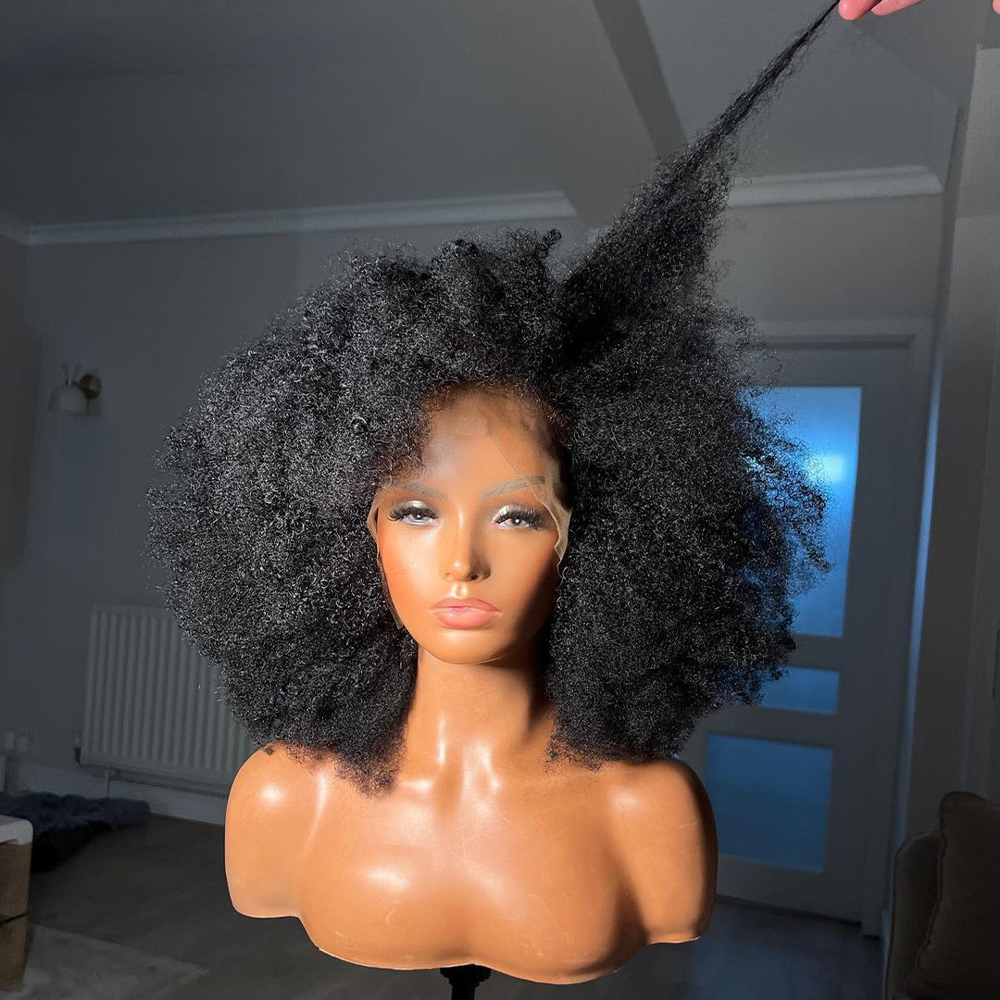 Free shipping 200density Kinky Curly 13X4 Lace Closure Silation Human Hair Wigs 8-20 Inch Brazilian Remy Fluffy Afro Wig for Black Women