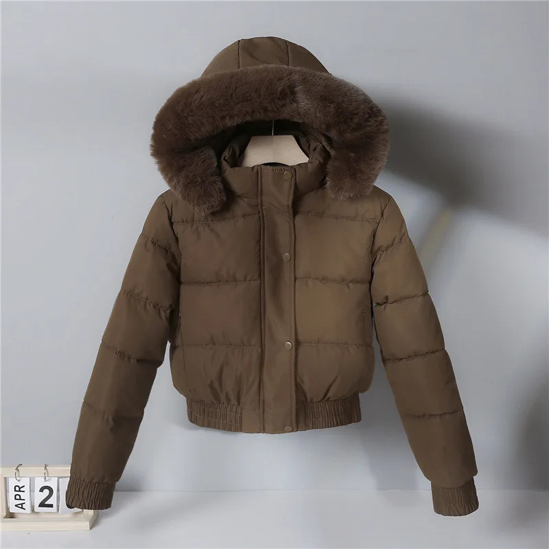 autumn and winter warm cotton jacket womens thick wool lining fur collar long sleeved park 241010