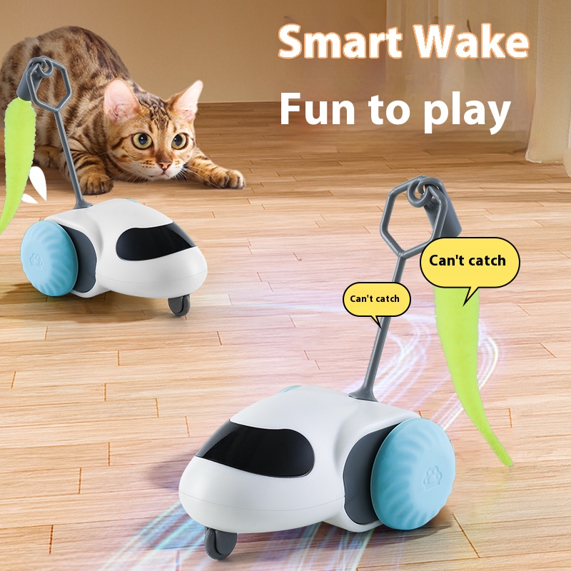 Intelligent Self-Playing Runaway Car for Indoor Feline Entertainment