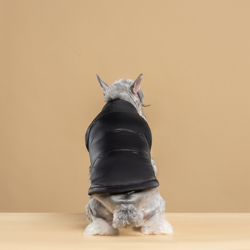 Duck Down Dog Winter Jacket, Designer Dog Apparel, Warm Zip Up Wind Breaker Water Resistant Small Dog Sweater Coat Dog Clothes for Small Dogs Boy or M