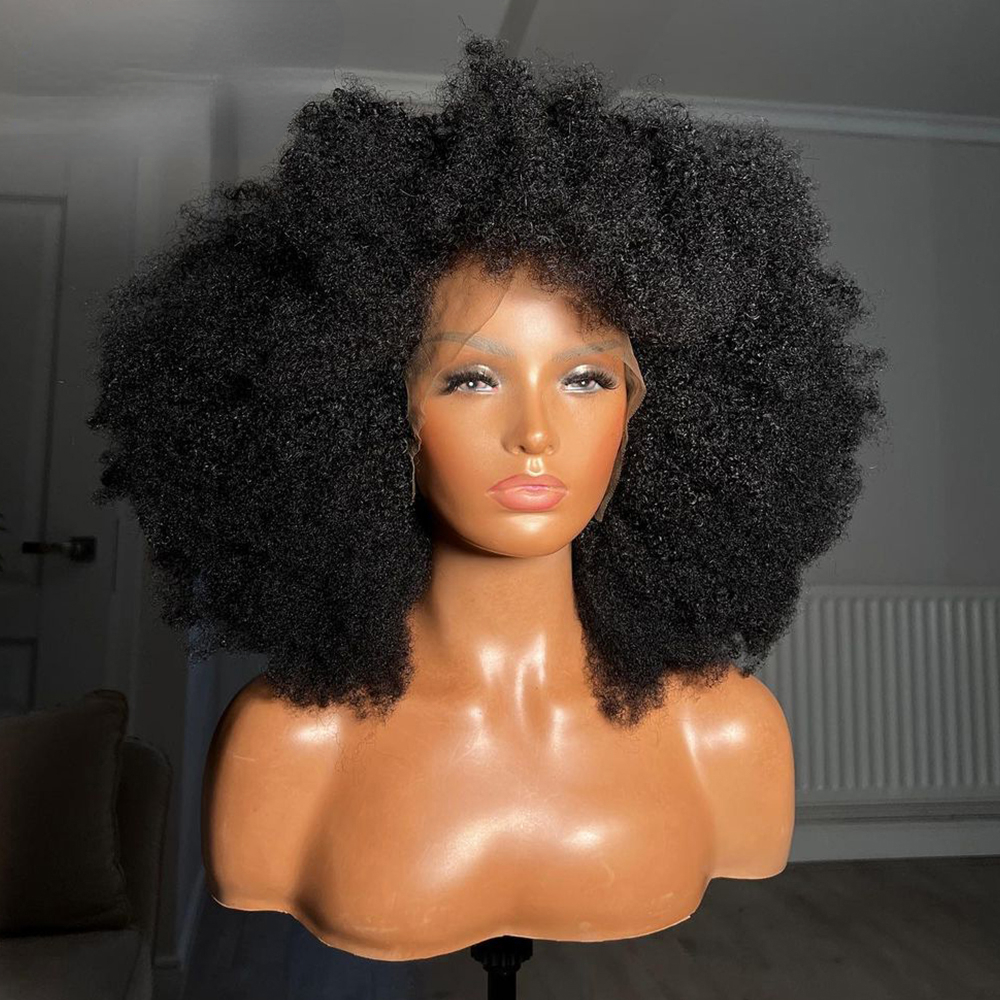 Free shipping 200density Kinky Curly 13X4 Lace Closure Silation Human Hair Wigs 8-20 Inch Brazilian Remy Fluffy Afro Wig for Black Women