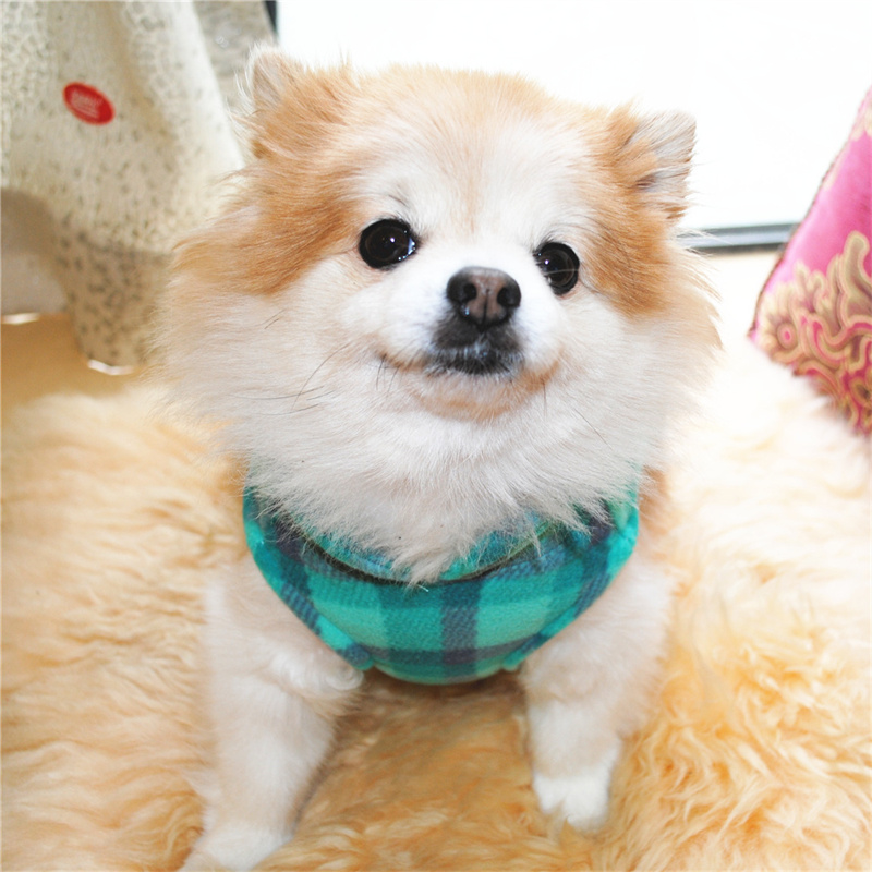 Plaid Dog Sweaters with Leash Ring Soft Fleece Vest Dog Pullover Warm Jacket Pet Dog Clothes Winter Dog Outfits for Small Puppy Cat Pets