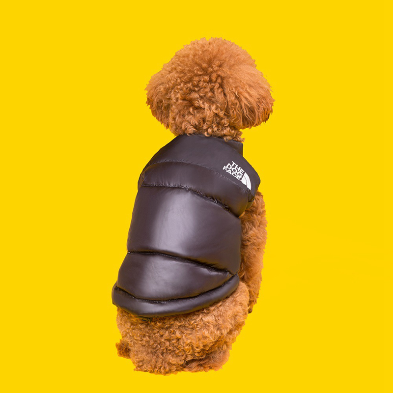 Duck Down Dog Winter Jacket, Designer Dog Apparel, Warm Zip Up Wind Breaker Water Resistant Small Dog Sweater Coat Dog Clothes for Small Dogs Boy or M