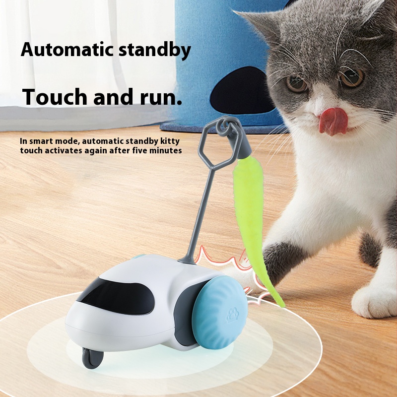 Intelligent Self-Playing Runaway Car for Indoor Feline Entertainment