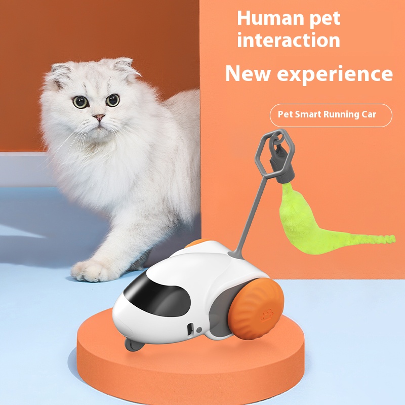Intelligent Self-Playing Runaway Car for Indoor Feline Entertainment