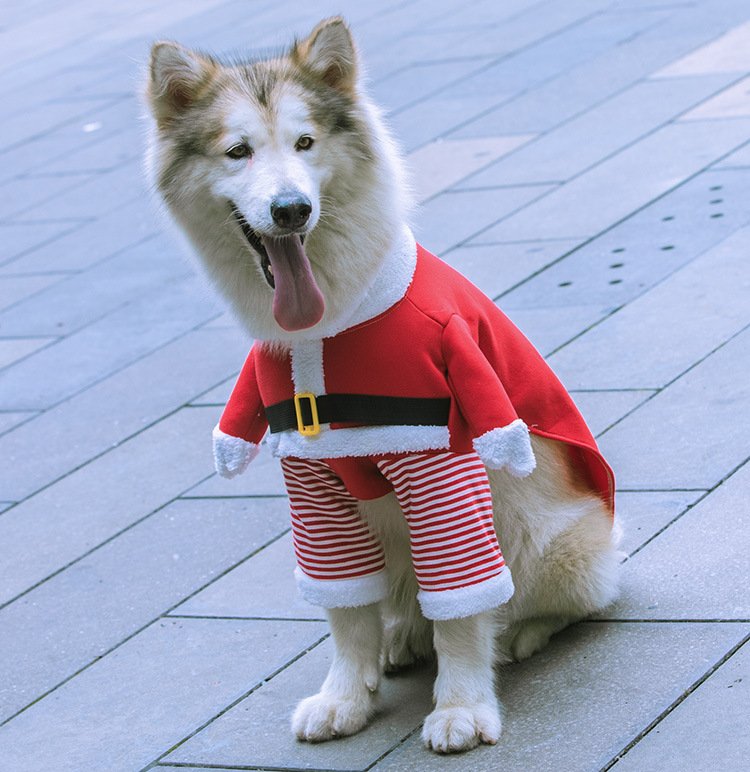 Christmas Dog Costume Outfit, Xmas Puppy Santa Claus Clothes Suits Hat Pet Dogs Cats Party New Year Funny Cosplay for Small Medium and Big Pets