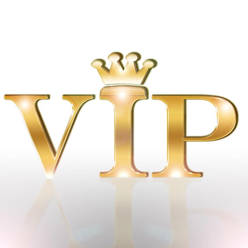 pay money right others purse payment brandbag tote bags payments k only vip custom order more items contact us for picture VIP orders