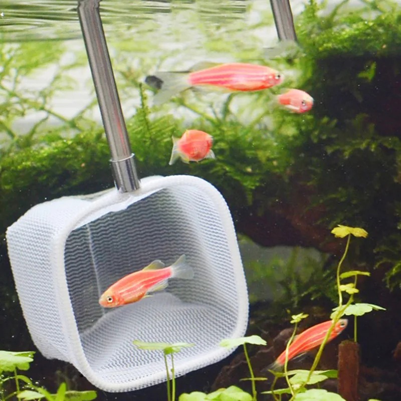 Retractable 3D Aquarium Fish Tank Catch Net Stainless Steel Rod Fishing Round Square Pocket Shrimp Catching Nets 18-53CM New